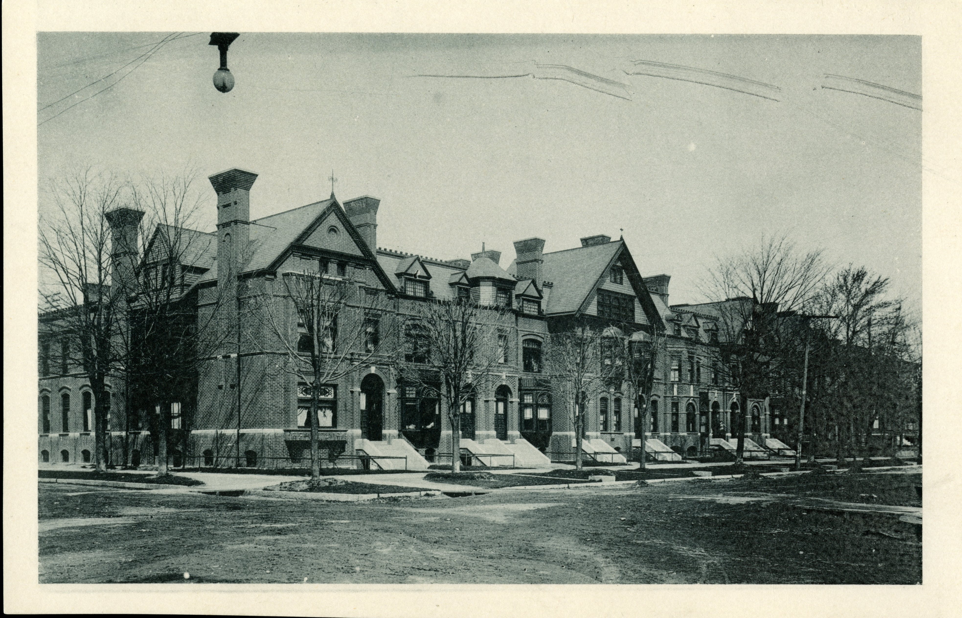 Image credit: The History Museum